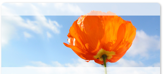 werbit Webdesign werbit Webdesign